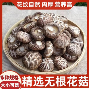 �㹽�����خa��؛500g���r�I�BС���㹽�����������r��Ģ��