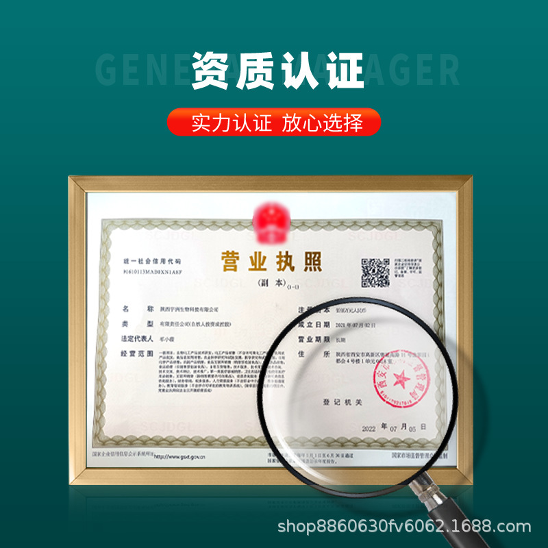 绿原酸5%-98%金银花/杜仲提取物金银花绿原酸 食品级原料高含量|undefined