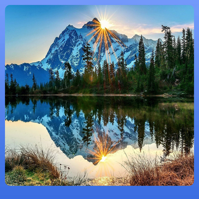 ✅厂家直销diy数字油画手绘客厅花卉风景油画无框批发 40*50 彩狮