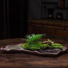 底盘上水石盆器菖蒲吸水石长方形紫砂苔藓盆景盆水培之军假山陶瓷