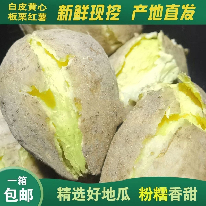 本物の潮山の掘り出し黄栗芋、甘くて柔らかくもちもちの緑色の食品、農場の栗、卵、サツマイモ、メロン|undefined