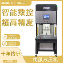 东莞厂家定制伺服压机高精度伺服电缸压机精密配件轴承压机液压机