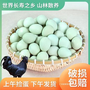 �r��G�����u����ɽɢ�B������r�F�l���Ӟ��u����������ȫ��