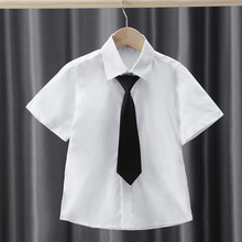 男童衬衣短袖翻领夏新款中小学生校服班服表演服儿童白色衬衫