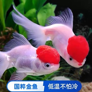 ���\���^�~�^�p�~�Q피t�{���^���~���~�����ˮ�~��ˮ���B�ͻ��~