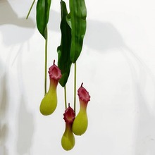 仿真藤条壁挂猪笼草捕蝇草塑料软胶装饰摆件可爱玲珑秀气仿真草