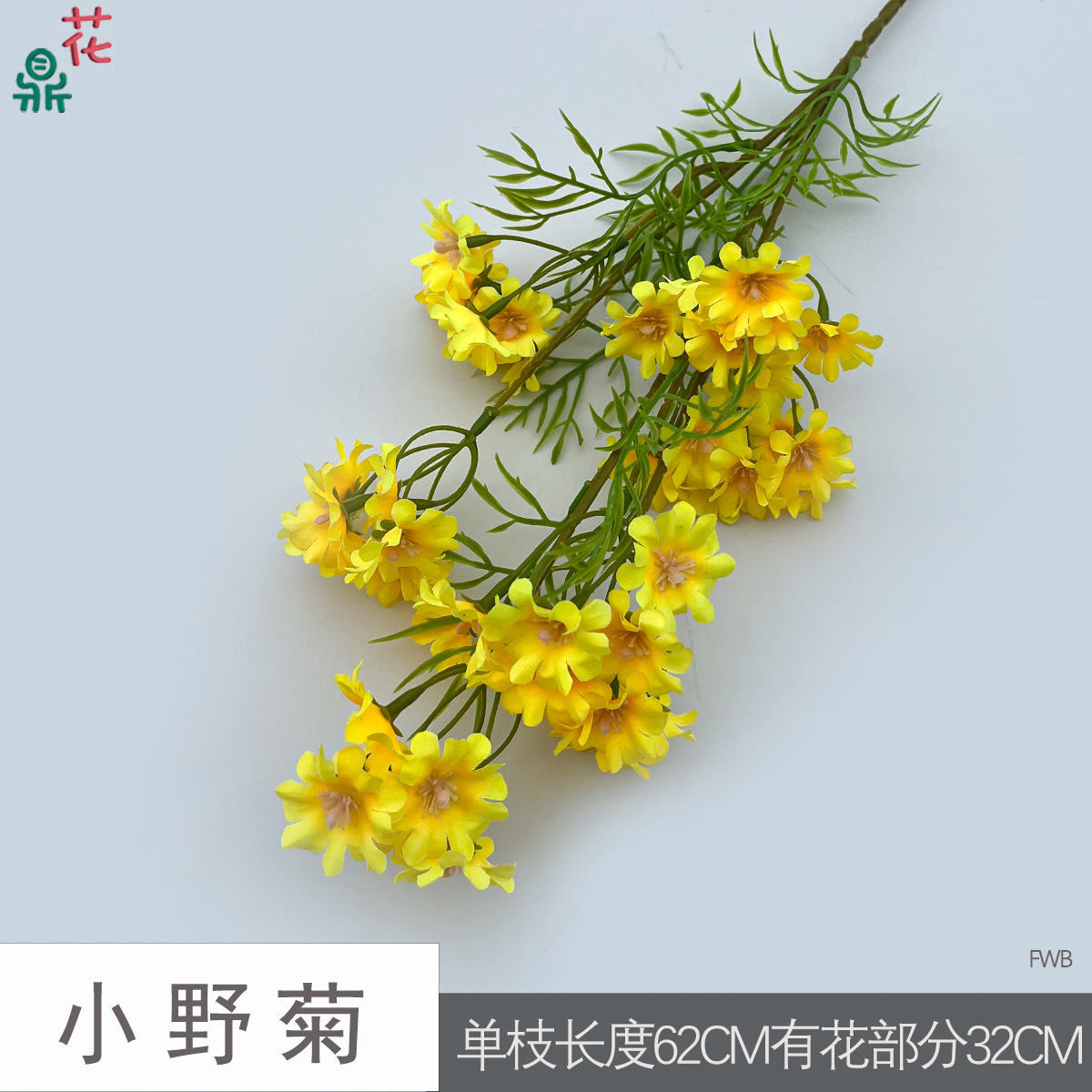 작은 들국화 FWB 옐로우