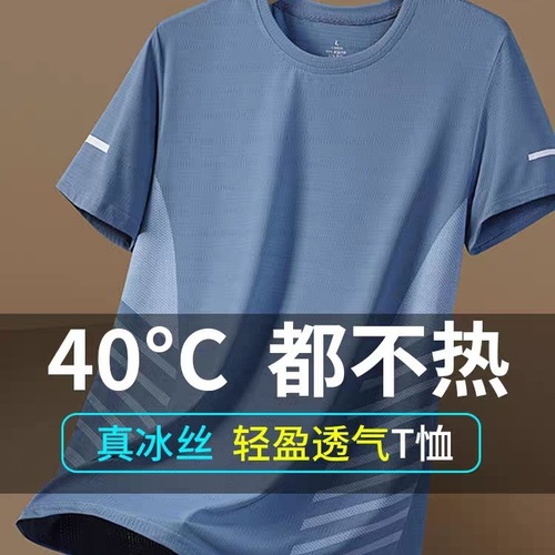 Men's Summer Thin Quick-Dry Mesh T-Shirt for Sports and Fitness, Half-Sleeve Casual Elastic T-Shirt