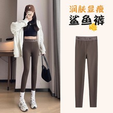 高腰收腹提臀鲨鱼裤外穿女薄款高弹无痕修身瑜伽健身芭比打底裤秋