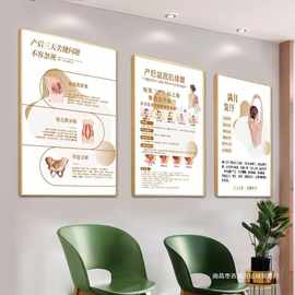 产后宣传挂画月子海报私密壁画骨盆图片产后康复广告