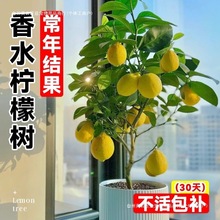 ˮԘ̨҃ͥԺȥȩֲBļGֲ