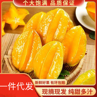 �������ݗ��Ү������rˮ�������֭����÷�۬Fժ�F�lһ�����l