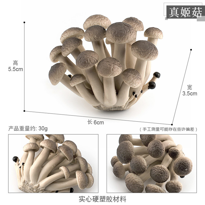 PL127 - 2129 30g