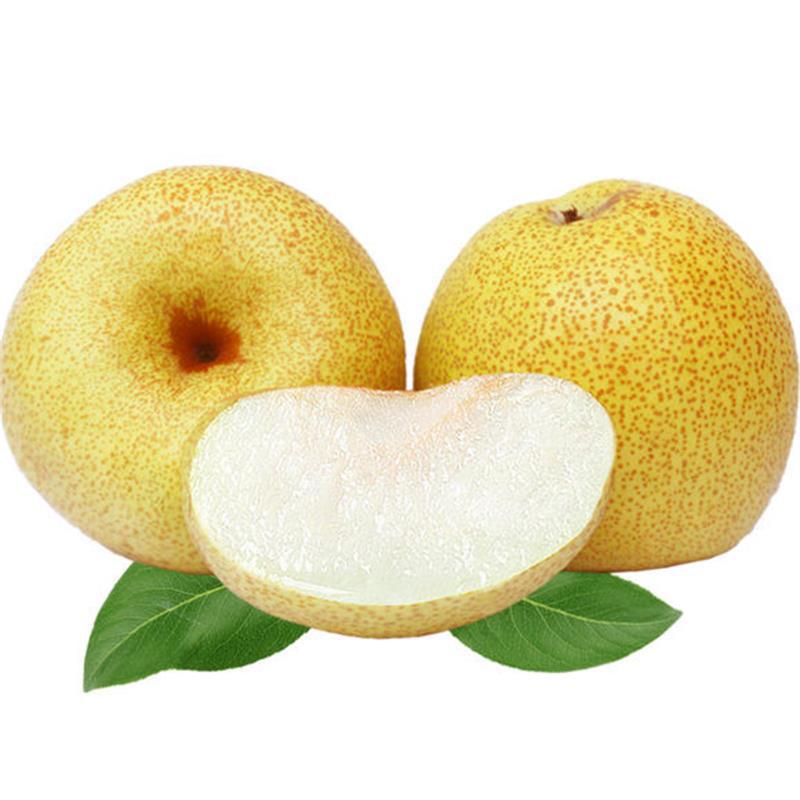 Dangshan Crisp Pear Season Fresh Pear Fruit Fresh Green Yellow Pear Full Box Include Crispy Pear Dropship