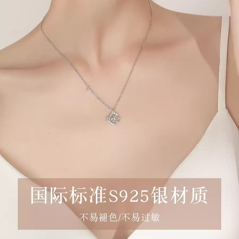 蓝桉与鸟S999足银项链女2025新款轻奢小众七夕情人节礼物送女友|undefined