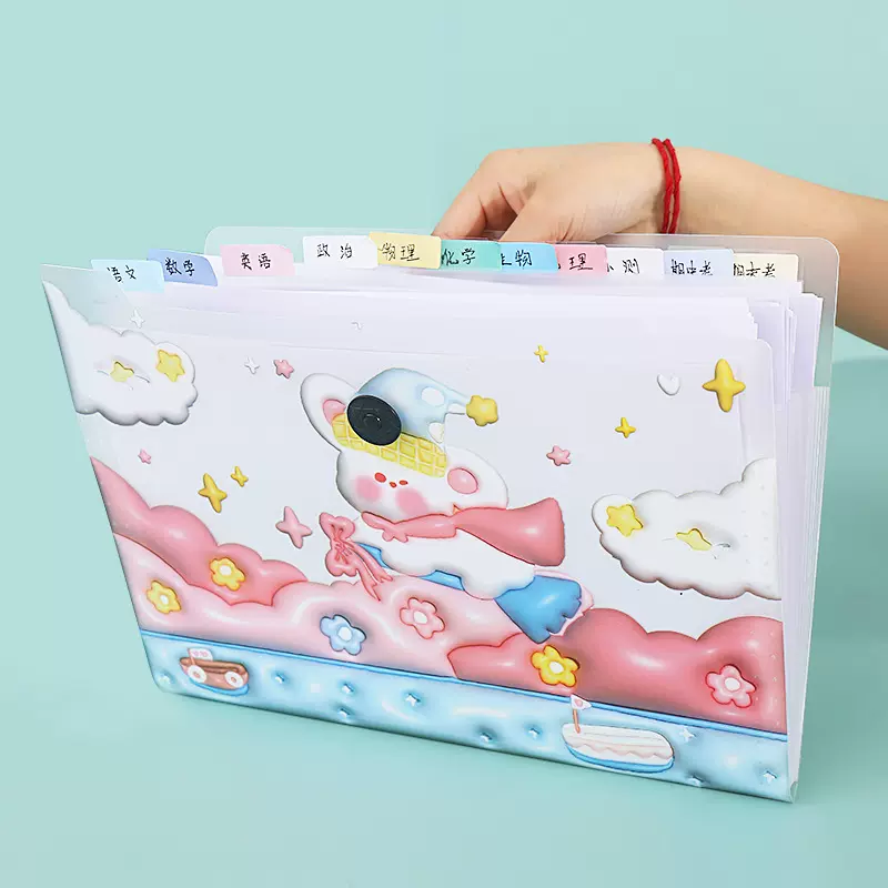 3D磨砂新款风琴包 可爱学生跨境试卷资料分科文件夹 a4塑料风琴包