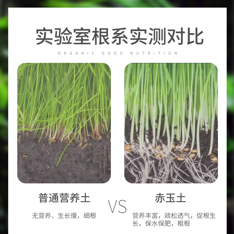 日本原装进口久米烧赤玉土一手货源多肉盆栽杜鹃花栽培营养基质土|undefined