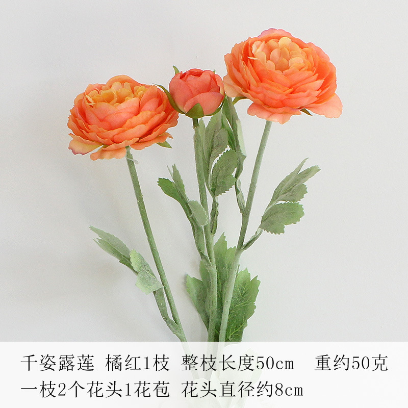 오렌지