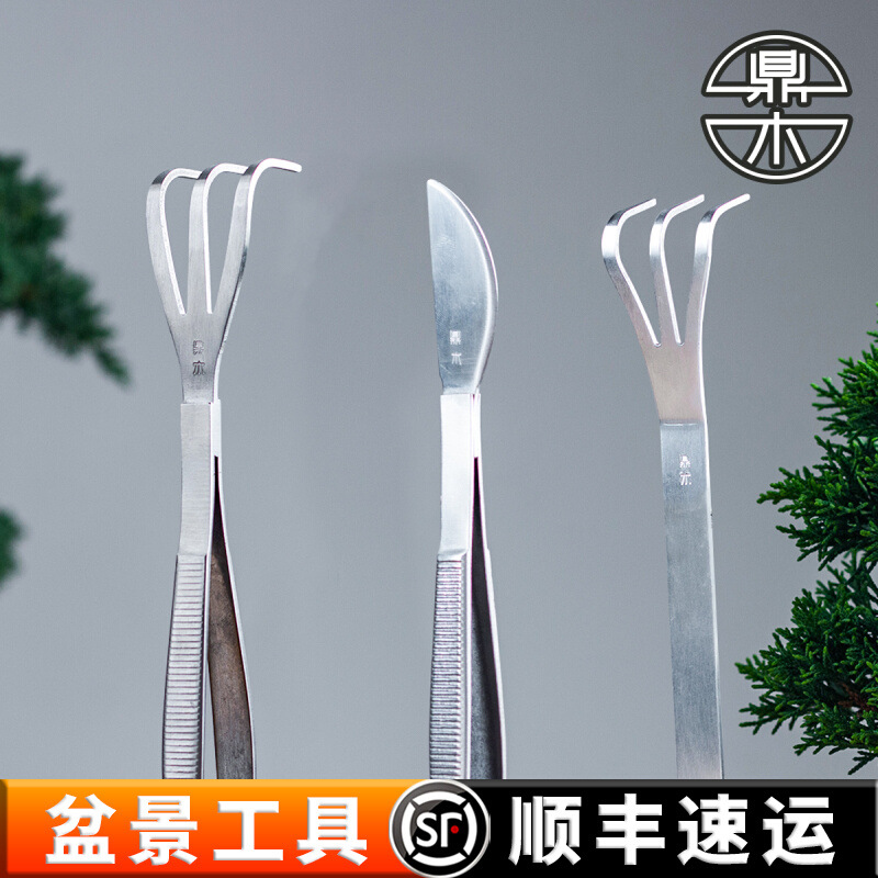 不锈钢镊耙 耙刀 盆景摘芽盆景耙子镊子苔藓盆栽松土压土换盆工具