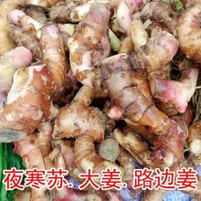 ���x Ұ��ҹ���K�Ҝ�ʳ��3���b�F�ݴ󽪻��ݹ�ɽ��ҹ���K·߅��1l