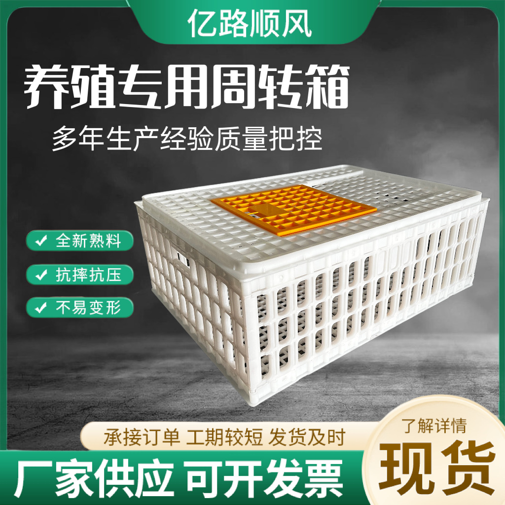 Los fabricantes suministran jaulas de plástico para pollos gruesos, pollos, patos, gansos, palomas y conejos.