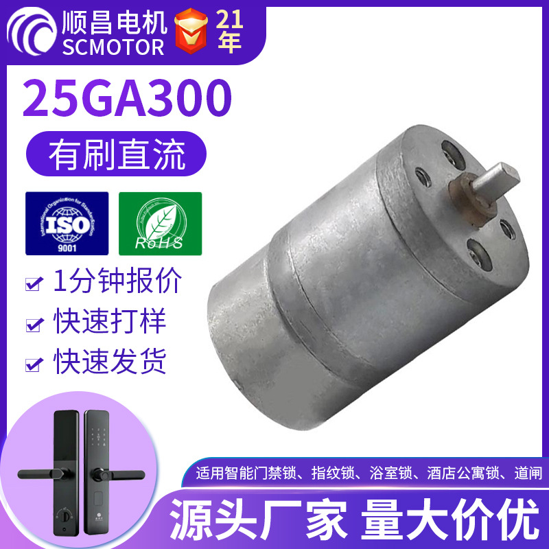 供应25GA300寿命长6V直流减速电机/汽车门锁电机/25GA300电机