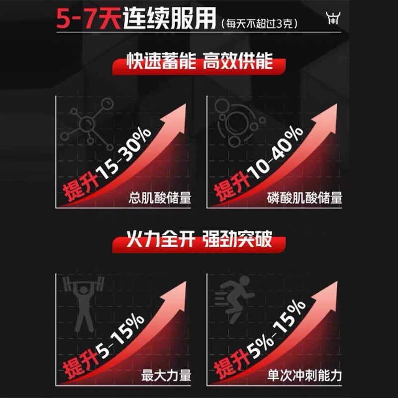 在庫処分 WOKNO クレアチン一水和物 スポーツ栄養食品 小袋 お試しパック 大袋 サイクルパック 卸売 XL|undefined