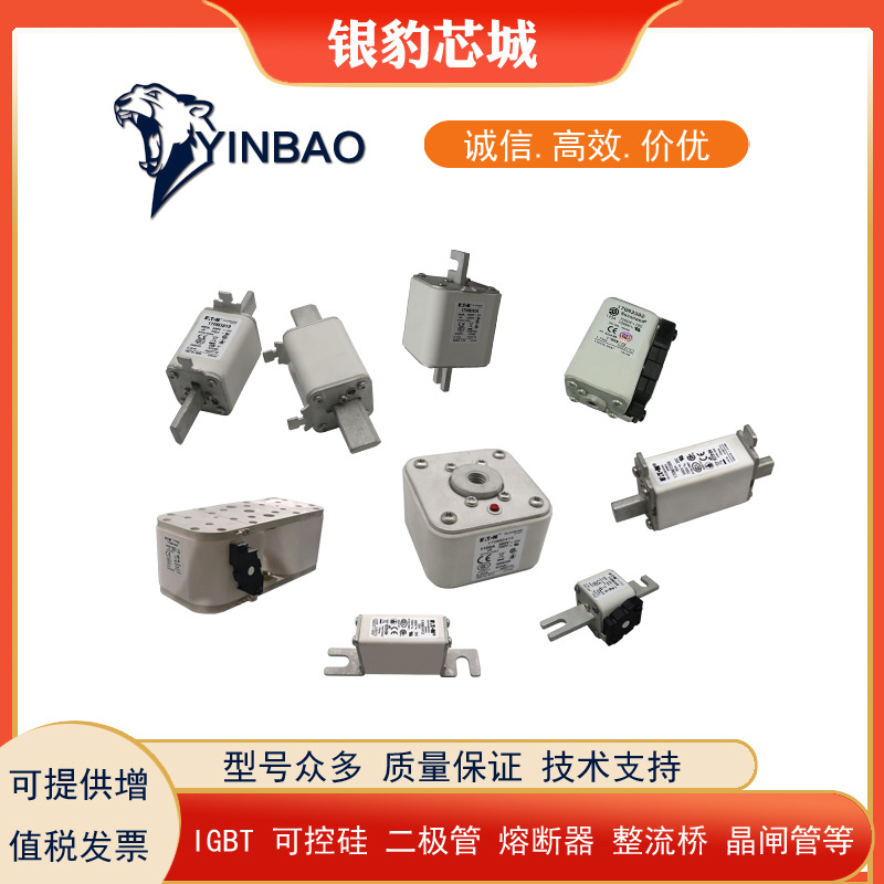 170M6118 170M6119 170M6120 170M6121全新熔断器保险丝