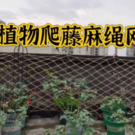 绳子类;其他安全网;攀爬网