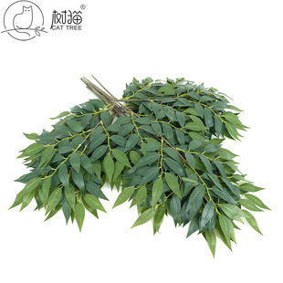 �羳���淨����91�~��Ʒ�ָм٘�֦���~�����b��^���ò廨ֲ��