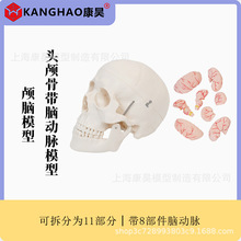 �^�B�ǎ��X���}ģ�� �B�Xģ�� ��Ȼ���^�B��ģ�����w