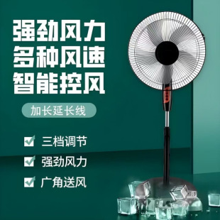 Electric Fan Floor Fan Bedroom Wind Household Shaking Head Silent Floor-Standing Timer Vertical Dormitory Energy Saving