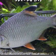 ���P�~�y�P�~���w�^�p�~�p�����~̩���a���yԪ���~�t���a�~