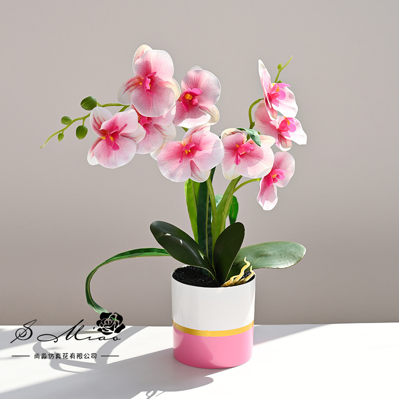 Dos puntas, 9 flores, sensación de phalaenopsis, plantas en macetas, flores de simulación creativa, decoración de estudio fotográfico para el hogar, plantas verdes artificiales, plantas en macetas image 4