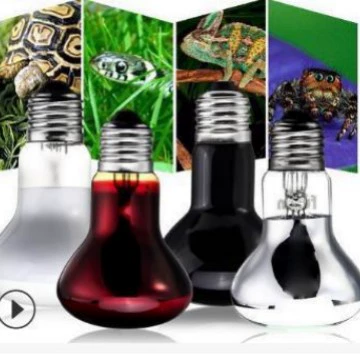 E 27 100W амфибия змея рептилия лампочка лампа тепло ночник дневной свет UVA 110V 240V