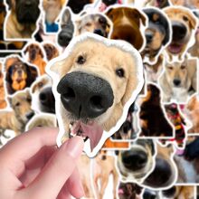 ���E�������Ĺ�����240�N�E�������N��ins�L���s�Ȍ�Ȥζ�ɐ��N��