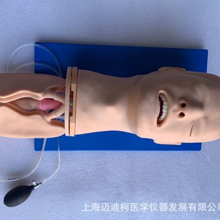 Advanced Airway Management Simulator, Nasal and Pharyngeal Ventilation Tube Model, Fully Functional Model for Medical Teaching