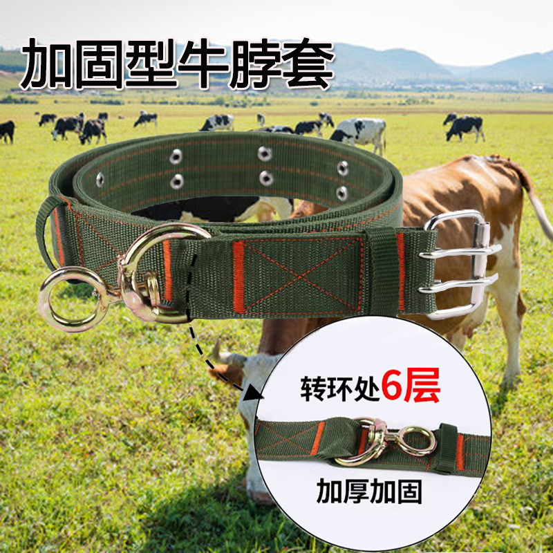 Cattle Collar Thickened Wear-resistant Cattle Collar Tow Rope Cattle Fattening Cattle Collar Super Thick Bolt Cattle Collar Cattle Collar Thickened Wear-resistant Cattle Collar Tow Rope Cattle Fattening Cattle Collar Super Thick Bolt Cattle Collar