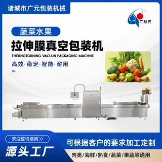 豆制品果脯蔬菜保鲜拉伸膜真空包装机 鸡蛋干大型拉伸膜包装机