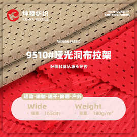 涤氨网眼洞洞布莱卡高弹力涤纶小孔鸟眼布吸湿快干运动内衣布料