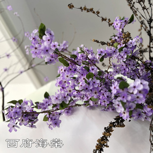 �¿���ɫ��c����ѻ� �������� ��ɫ�O�����滨��Yܛ�b�ٻ�