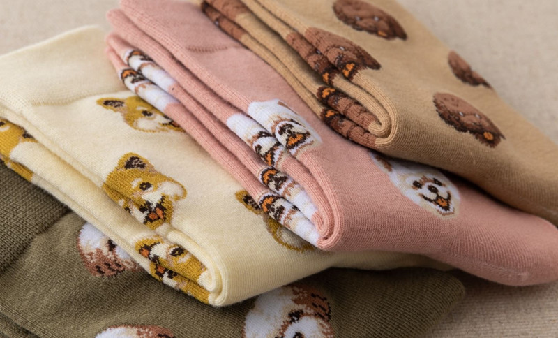Socks Classification A Pair Elegant Cute Lady Unisex Animal Dog Cotton Ankle Socks