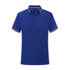 Polo, overall, T-shirt, 190 gram, with short sleeve, with embroidery