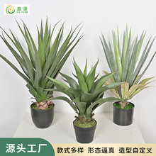 �����S߅�F����ʹ��m��Ƥ�m���X�~�����҃ȼҾ��k���b[��