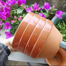 日式常滑烧盆景培养盆日式皋月杜鹃盆真柏铝丝盆透气红陶盆矮浅款