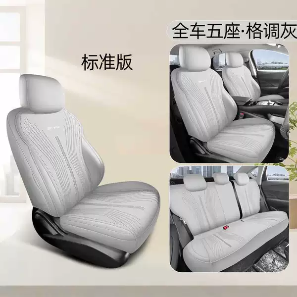 Stylish gray five-seater standard version