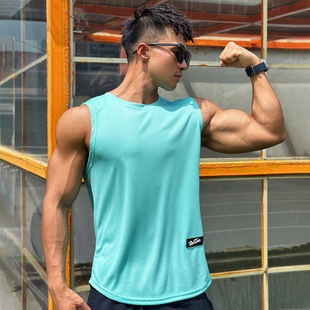 Summer New Trendy Men's Pullover Crewneck Mesh Base Shirt Sports Fitness Top Sleeveless Vest Quick-drying