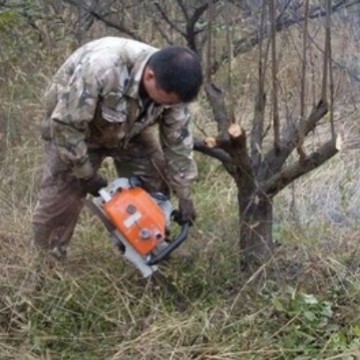 70厘米电动挖树机 挖树机 汽油机挖树机 挖树机 手提带土球起苗机