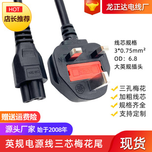 BS fuse British standard plug cord Hong Kong British notebook power supply three-core plum tail British standard power cord