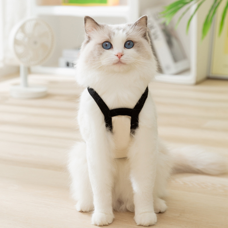 Ropa de pareja de estilo japonés y coreano de gato de primavera y verano, simple cabestrillo de borde negro para niños y niñas, ropa delgada y transpirable para perros